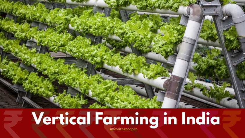 Vertical Farming in India